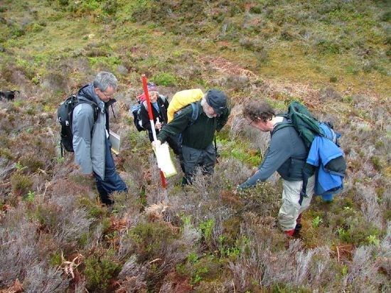 There's summat down there.